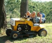 lawn man reading SEO book