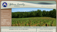 Gilmer County, GA Government